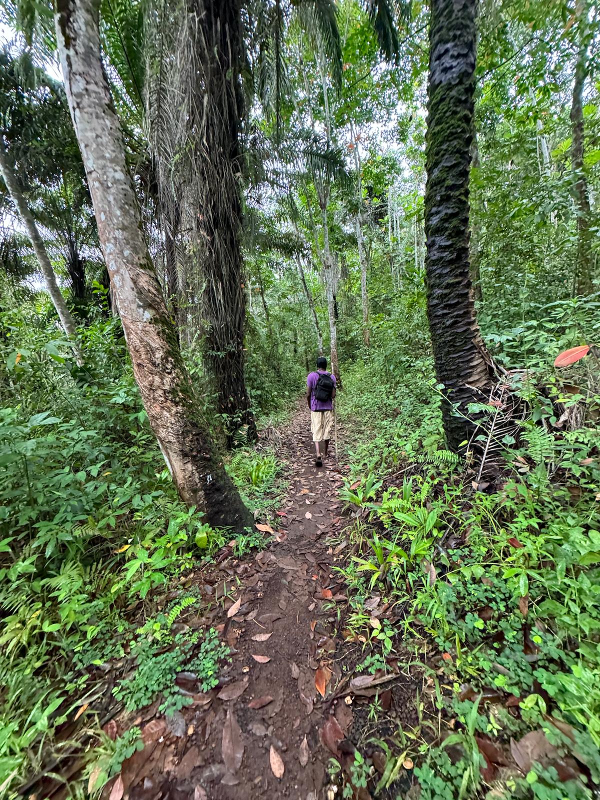 16 Tribes®️ Historical Tours - Image 2